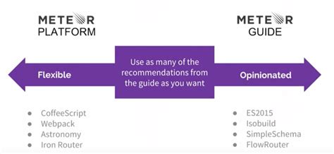 meteor web framework platforms